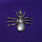 Spider Silver Pendant